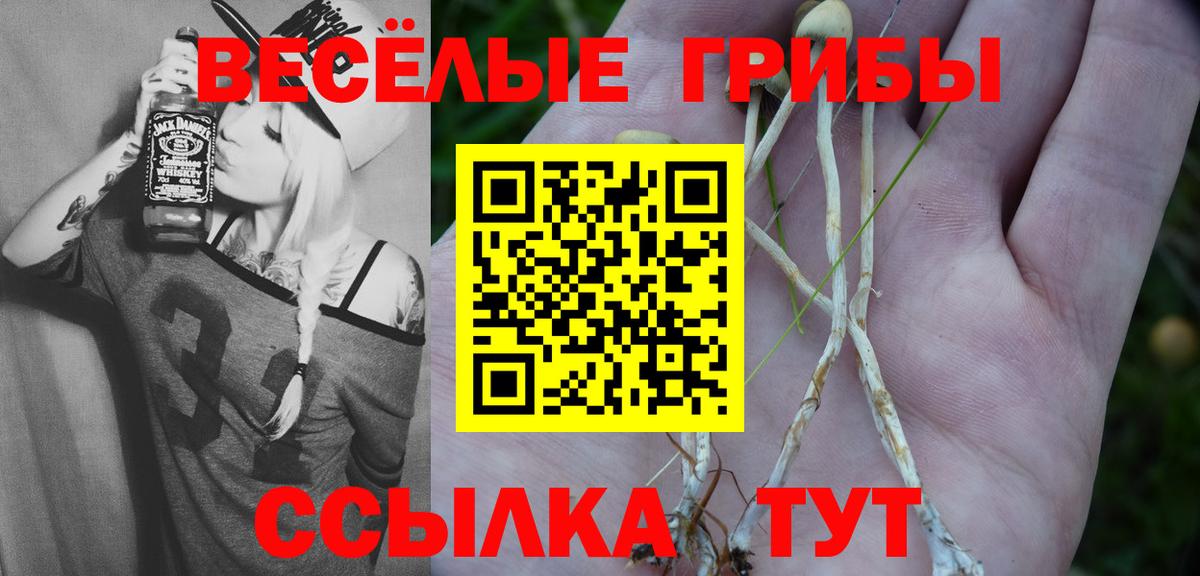 Галлюциногенные грибы мухоморы Когалым